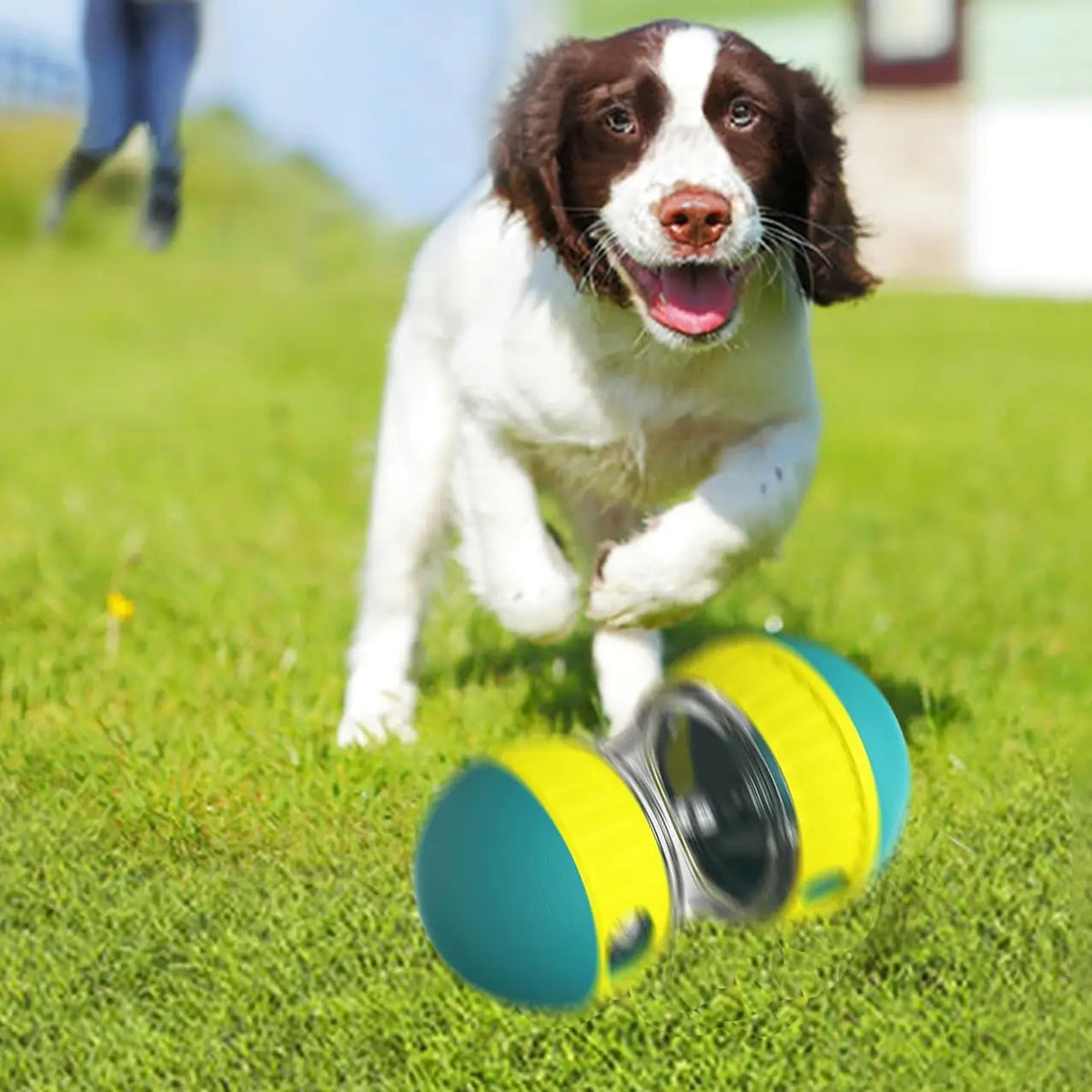 Treat Dispensing Ball for Dogs and Cats – Adjustable Interactive Toy