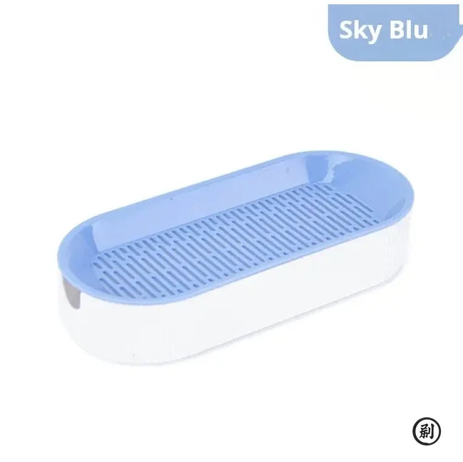 Kit de Hierba Gatera Hidropónica para Gatos – Sin Tierra, Fácil Cultivo