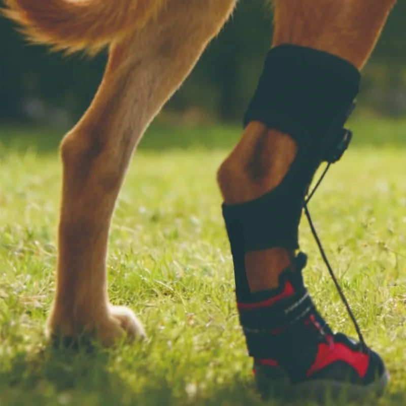Protective Dog Boots – Non-Slip, Breathable, and Wear-Resistant