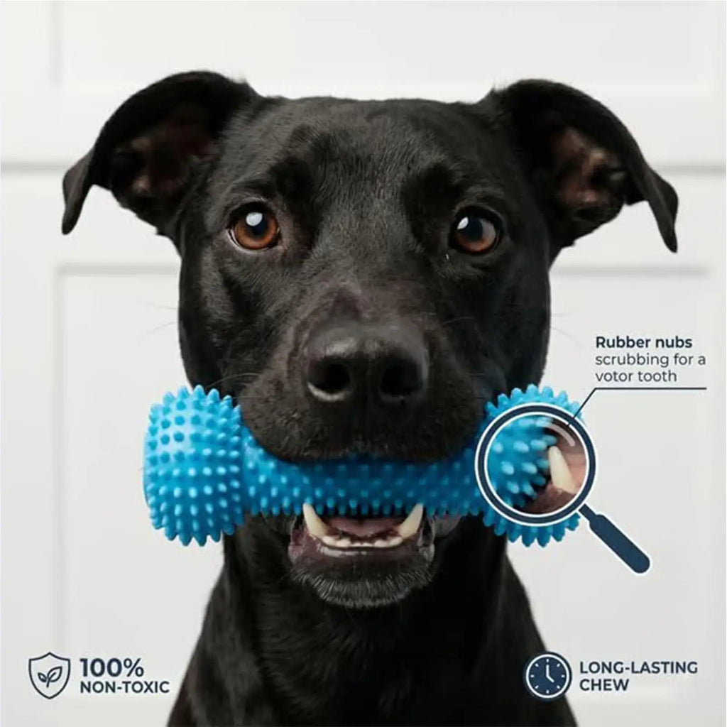 Rubber Chew Toy for Dogs – Dental Cleaning and Gum Relief