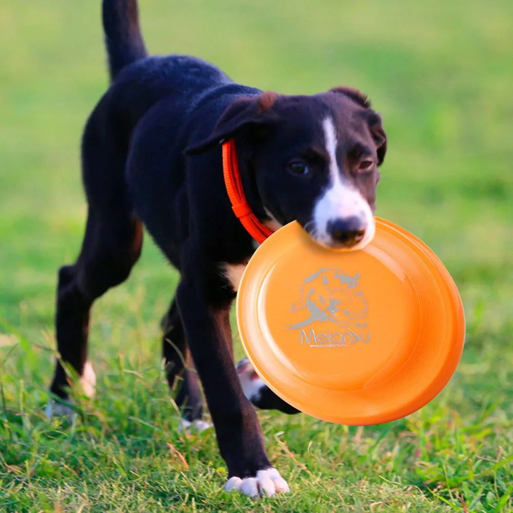 Dog Training Disc – Lightweight, Durable and Easy to Catch