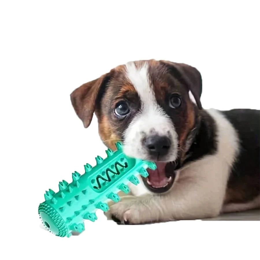 Rubber Dental Toy for Dogs – Teeth Cleaning and Tartar Prevention