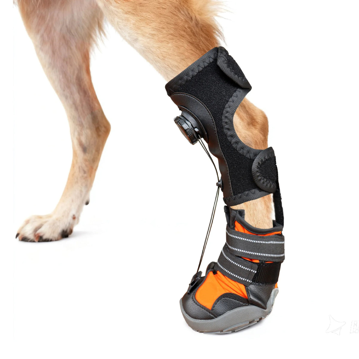 Protective Dog Boots – Non-Slip, Breathable, and Wear-Resistant