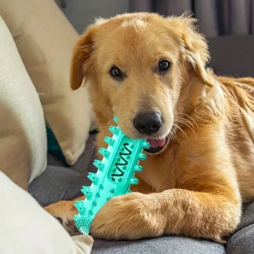 Rubber Dental Toy for Dogs – Teeth Cleaning and Tartar Prevention