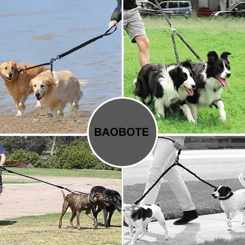 Dual-Head Shock-Absorbing Elastic Dog Leash – Ideal for Walking and Running