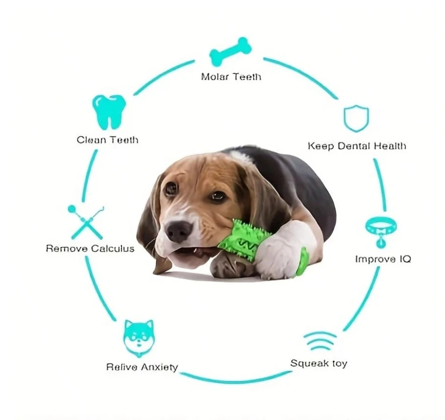 Rubber Dental Toy for Dogs – Teeth Cleaning and Tartar Prevention
