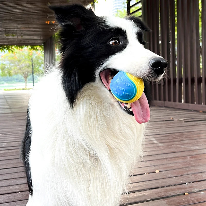 TPR Squeaky Dog Ball – Dental Cleaning, Durable and Safe