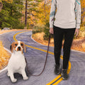 Genuine Leather Dog Leash – Durable and Elegant for Walks and Training