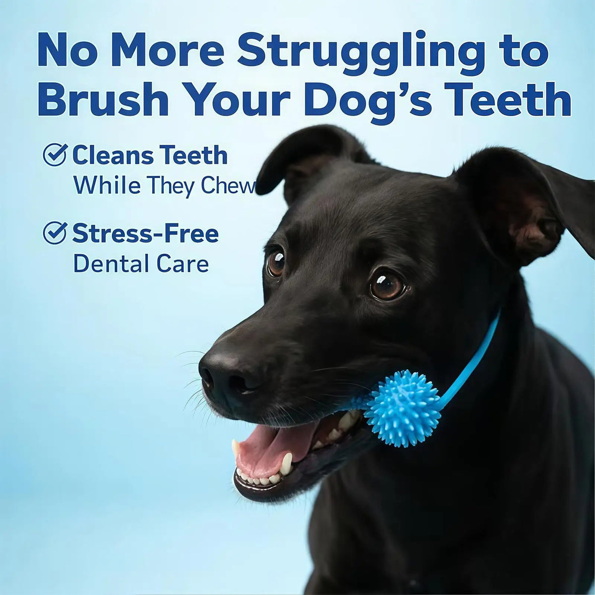 Rubber Chew Toy for Dogs – Dental Cleaning and Gum Relief
