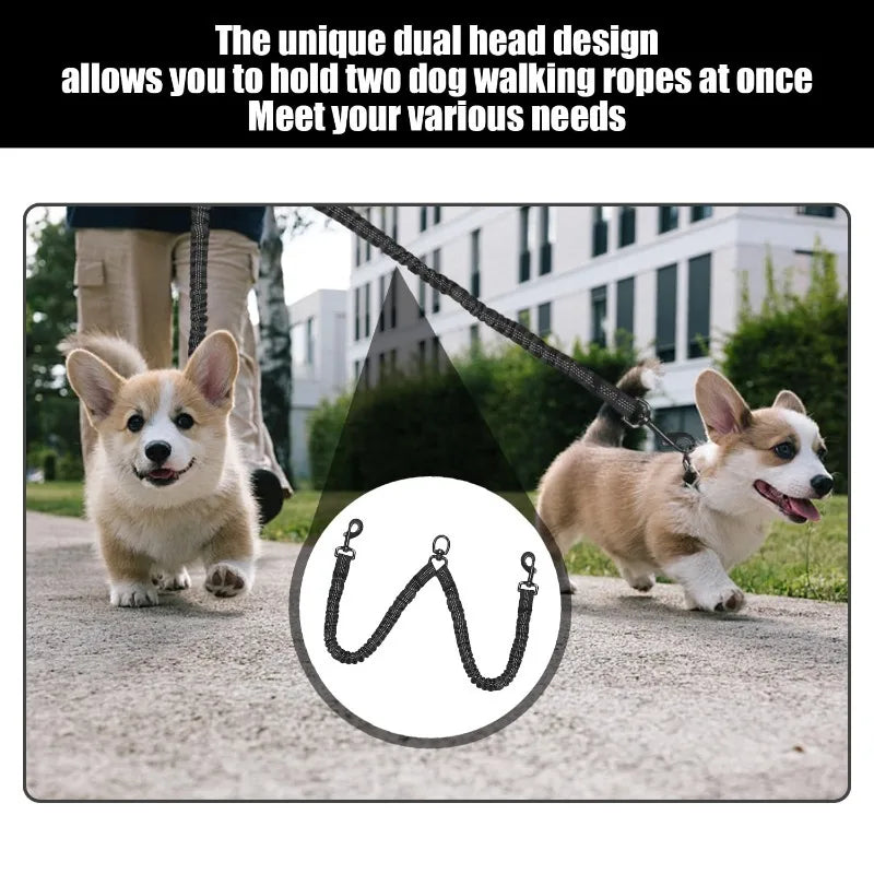 Dual-Head Shock-Absorbing Elastic Dog Leash – Ideal for Walking and Running