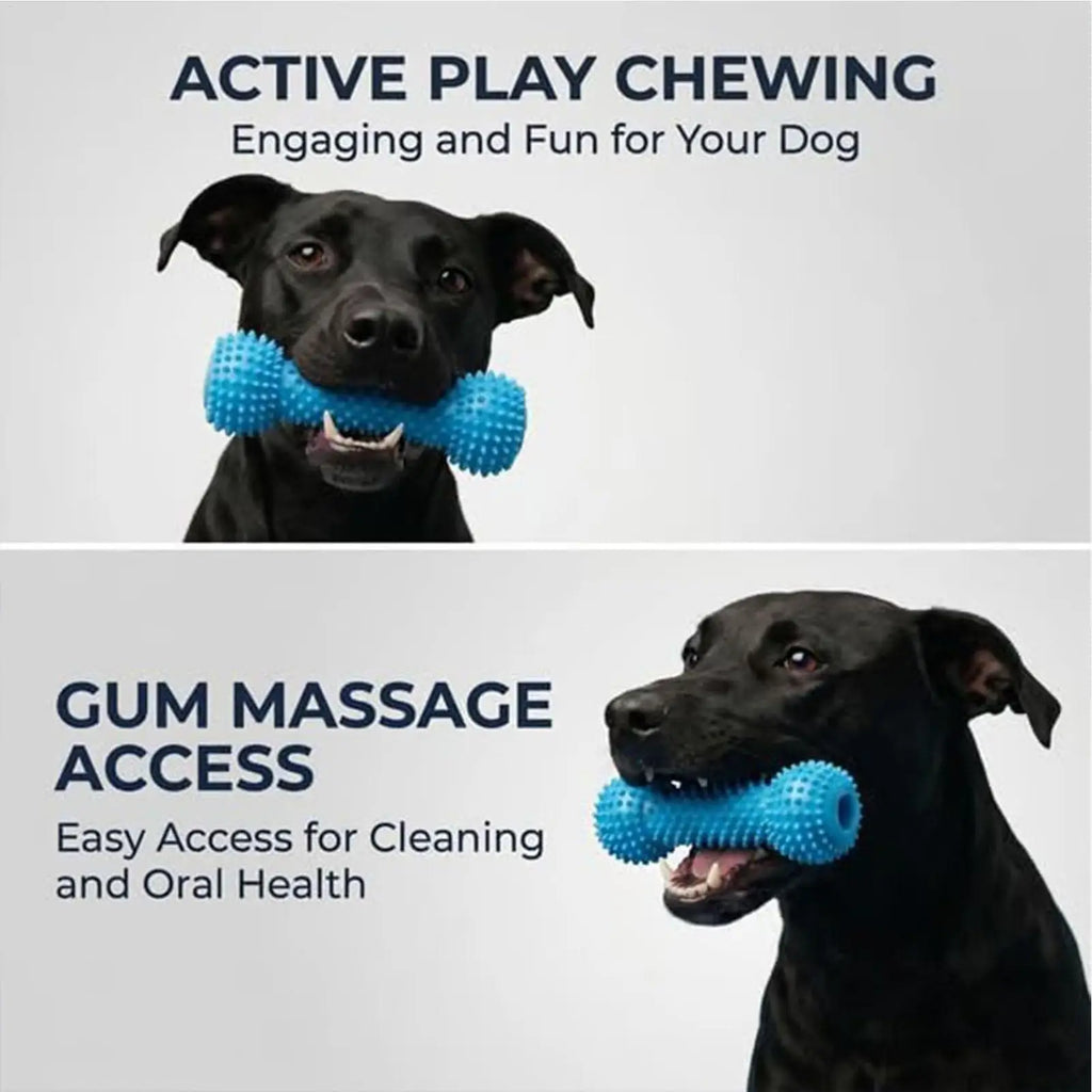 Rubber Chew Toy for Dogs – Dental Cleaning and Gum Relief