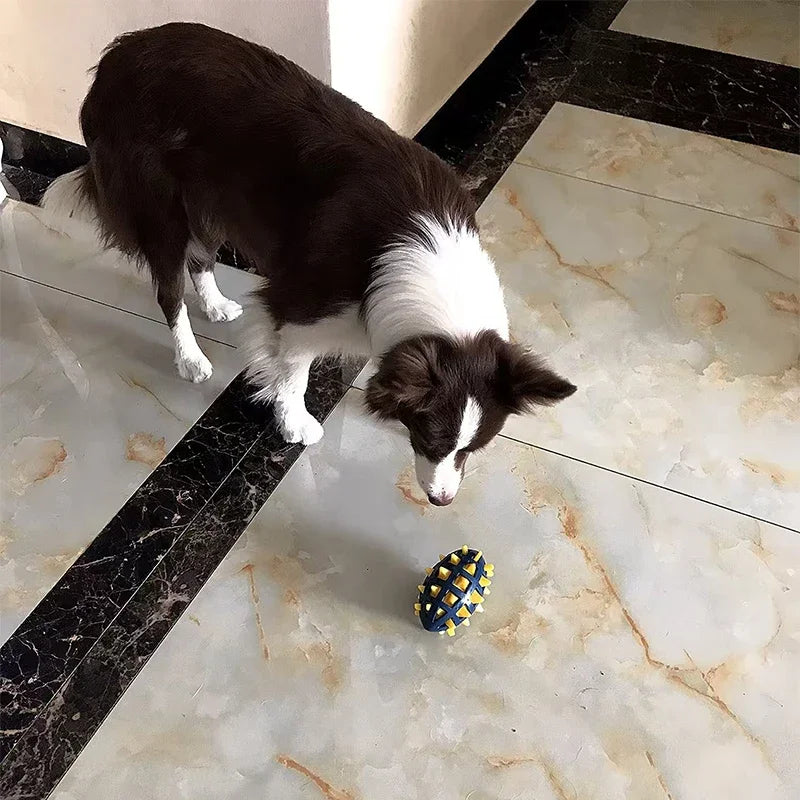 Spiky Rugby Ball for Medium and Large Dogs – Guaranteed Sound and Fun