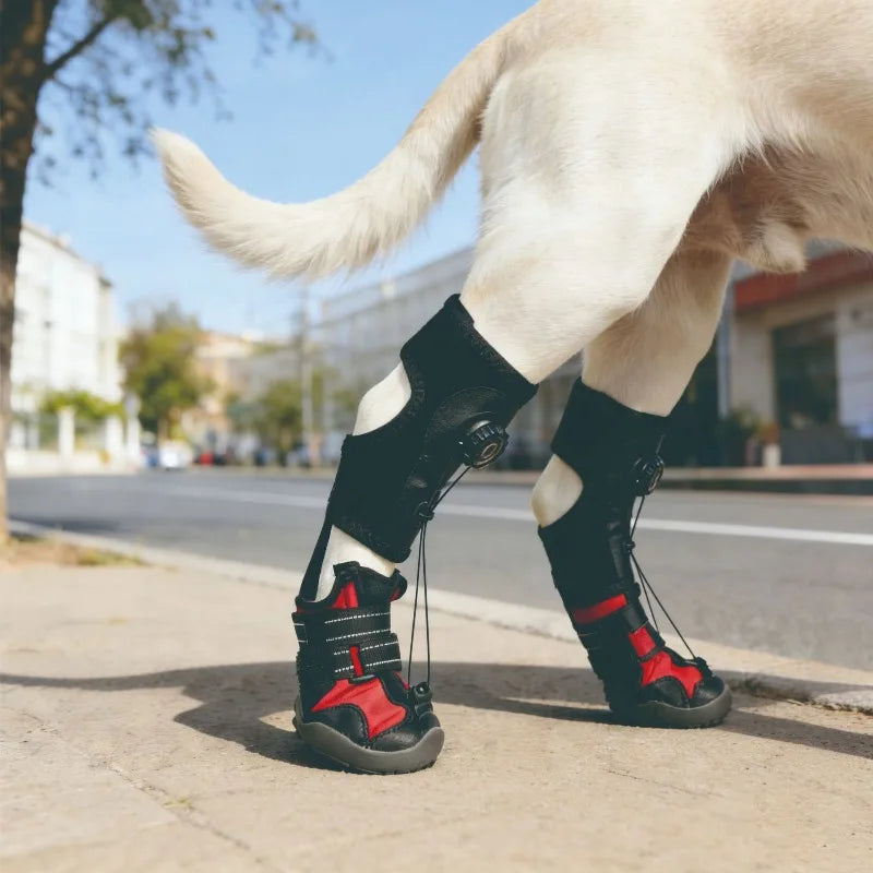 Protective Dog Boots – Non-Slip, Breathable, and Wear-Resistant