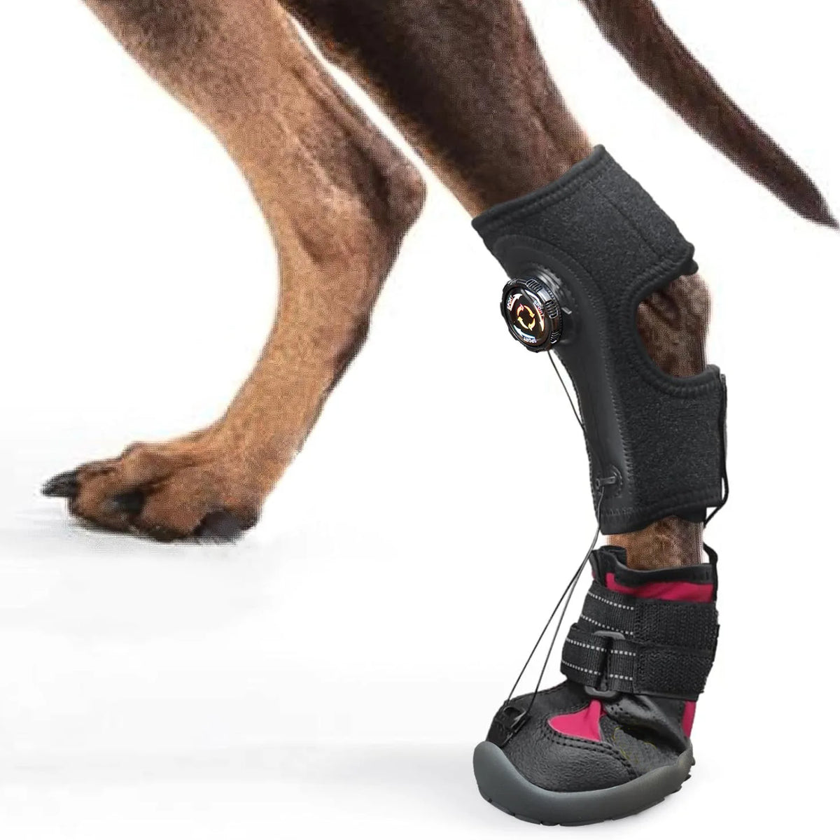 Protective Dog Boots – Non-Slip, Breathable, and Wear-Resistant