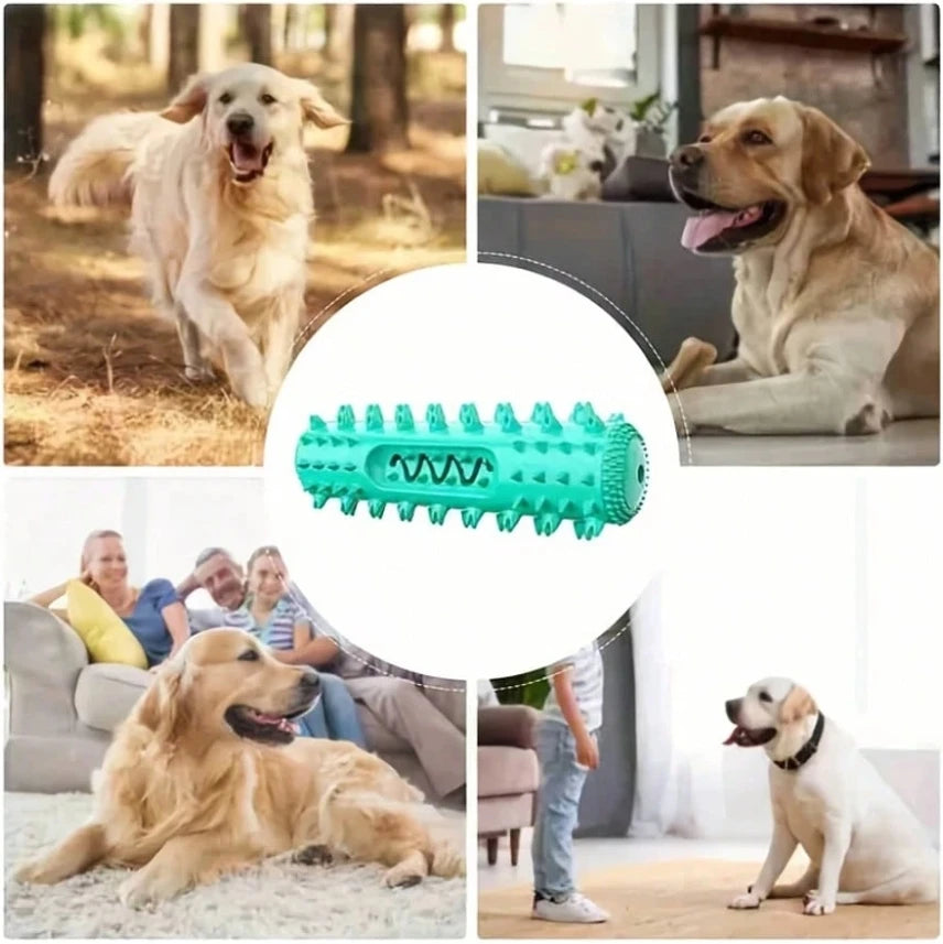 Rubber Dental Toy for Dogs – Teeth Cleaning and Tartar Prevention