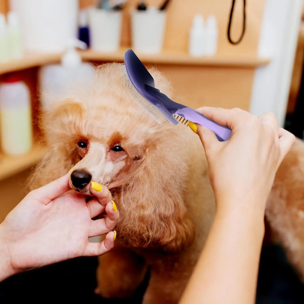 Professional Detangling Brush for Your Dog – For All Breeds