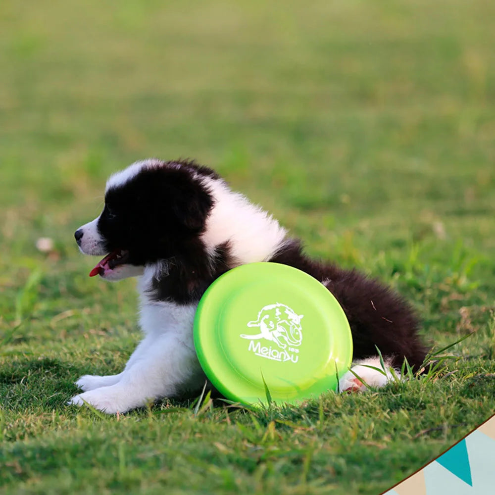 Dog Training Disc – Lightweight, Durable and Easy to Catch